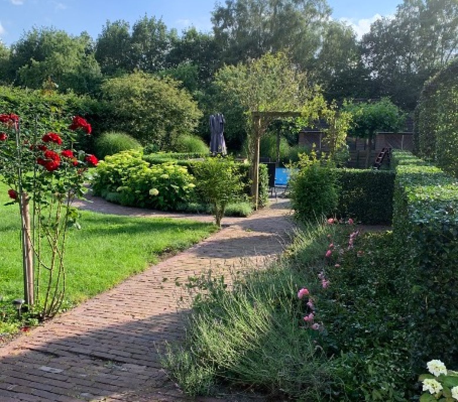 Van-Spijker-onderhoud-tuin